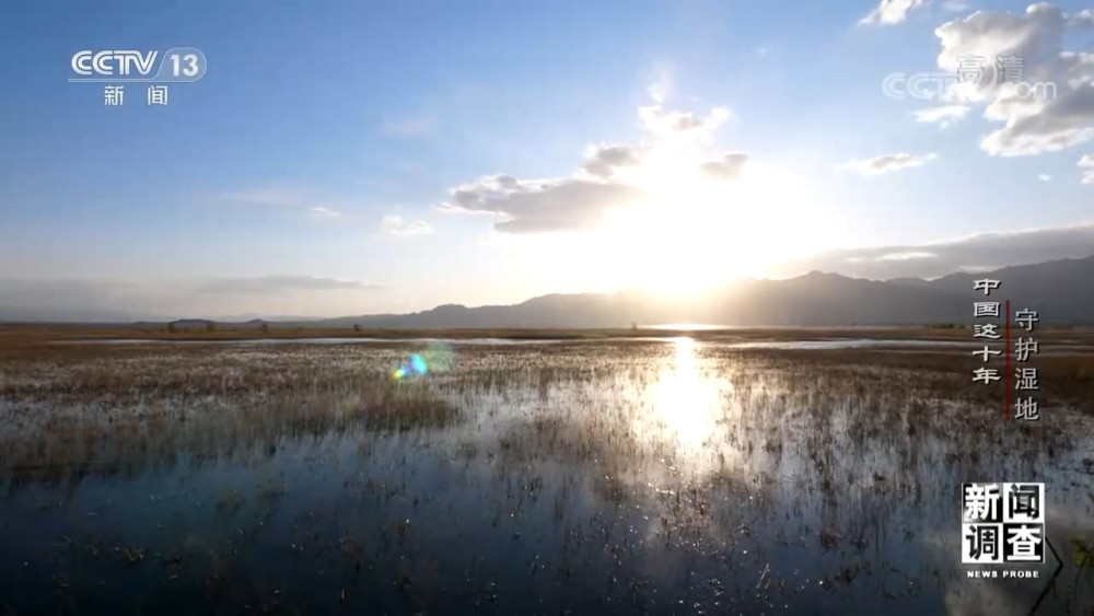 新闻调查：中国这十年守护湿地