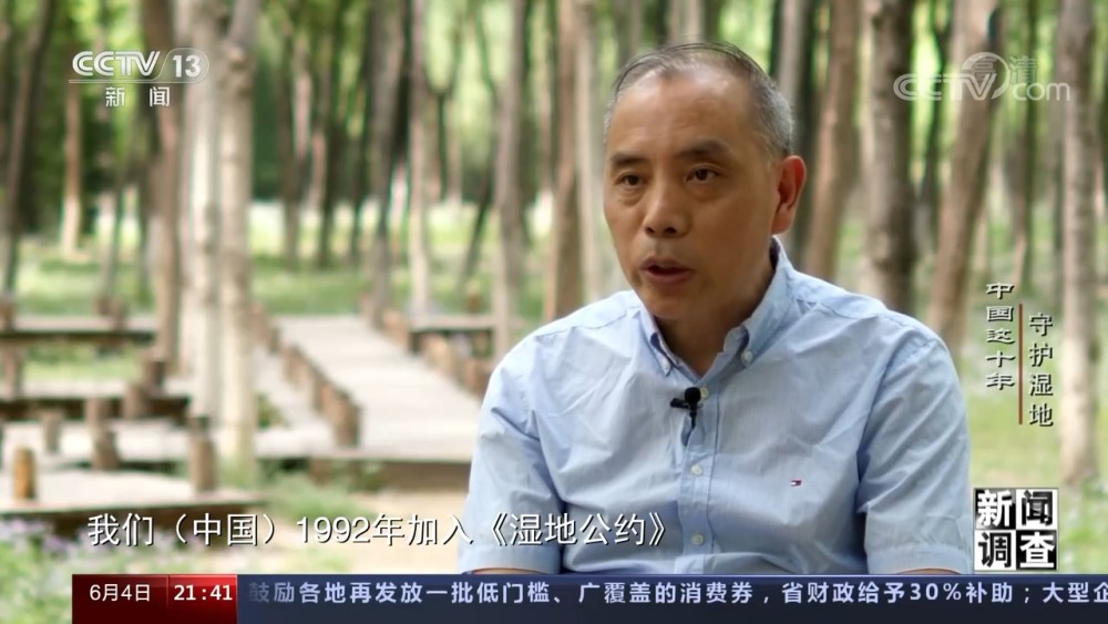 新闻调查：中国这十年守护湿地