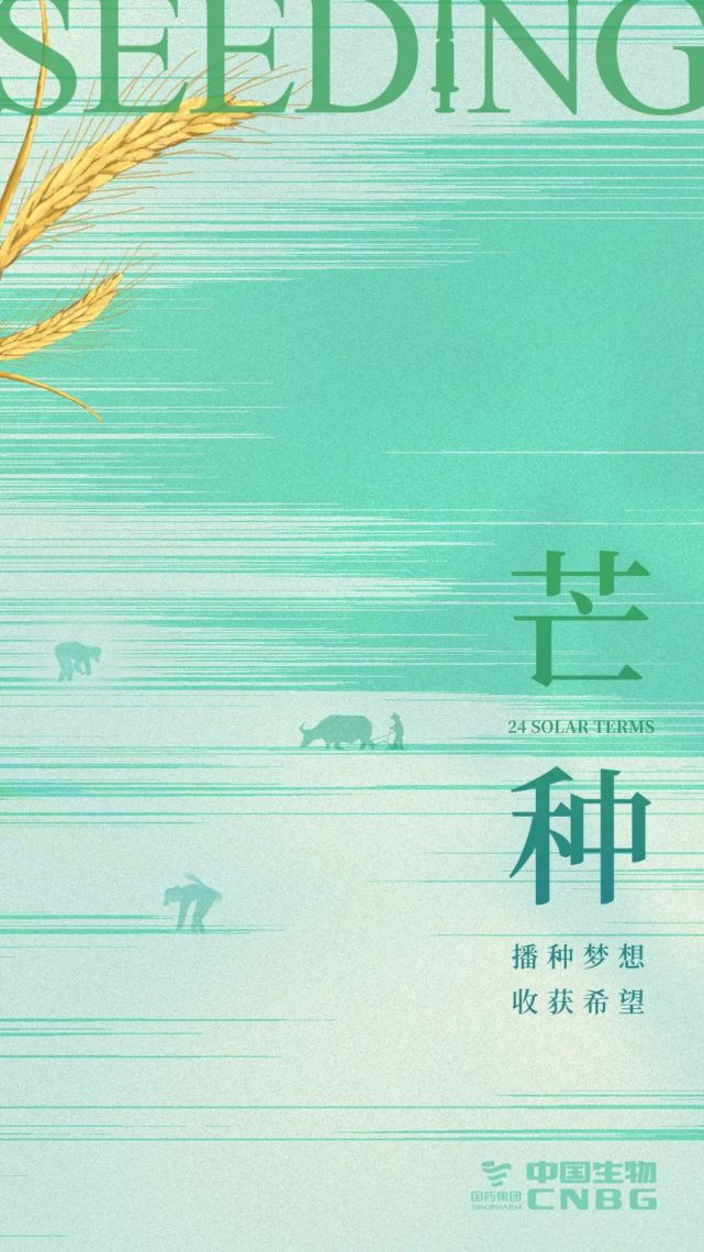 明日芒种|播种梦想 收获希望