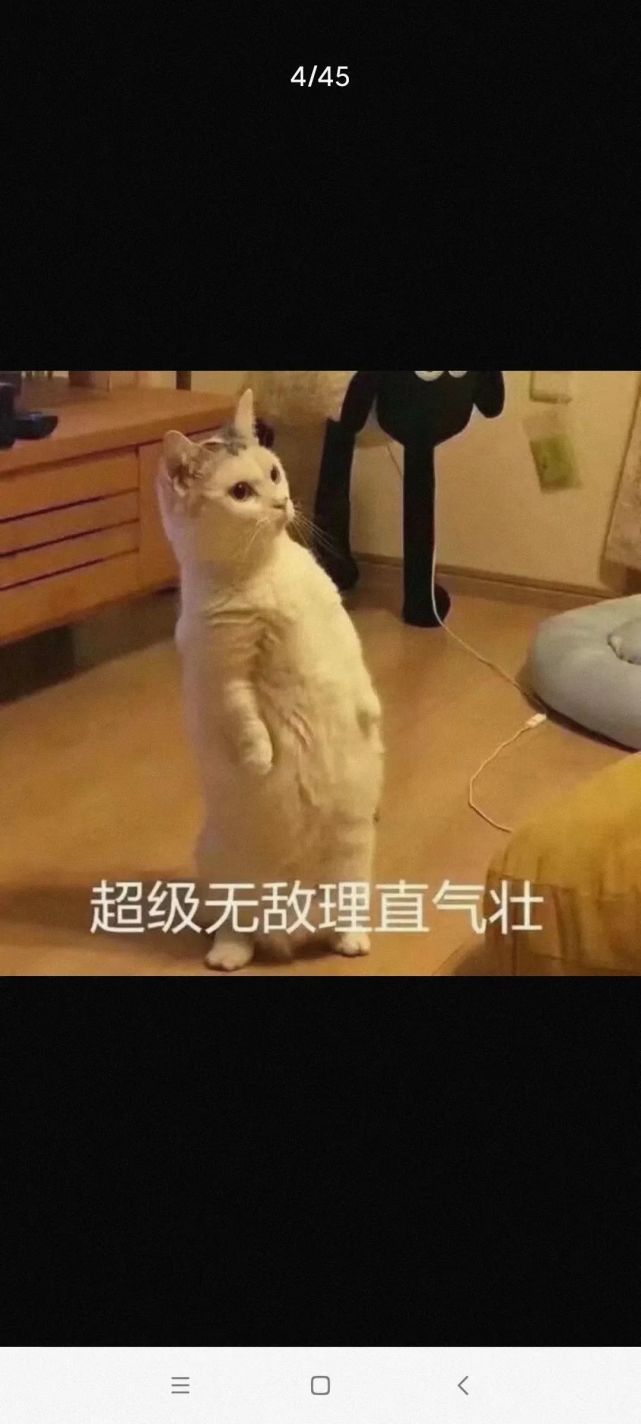 超级无敌理直气壮表情包