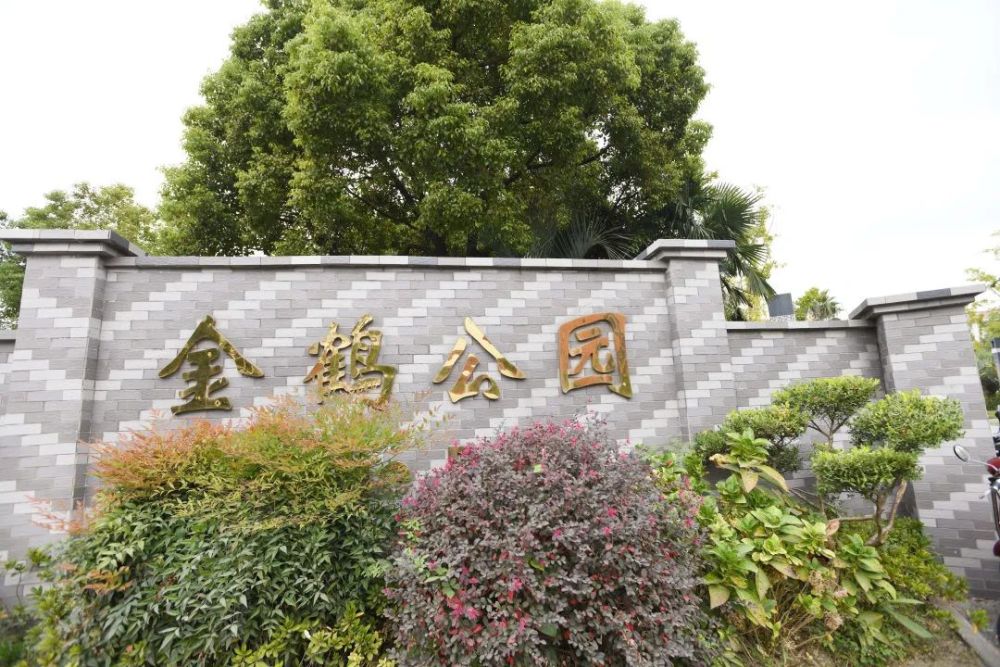 金鹤公园一起来看!夏日不迟,相逢有时还记得之前的美好园景吗?