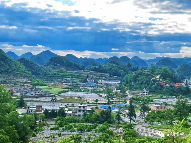 织金县猫场镇川硐村:产业发展多元化,群众致富路子广_腾讯新闻