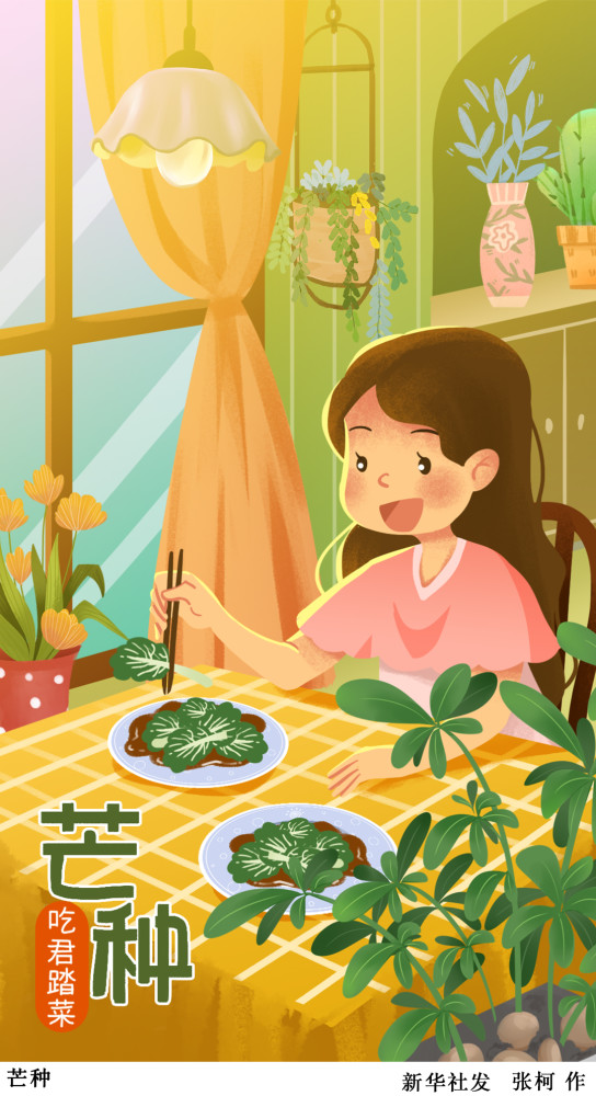 (图表·插画)【二十四节气·芒种】芒种(三)