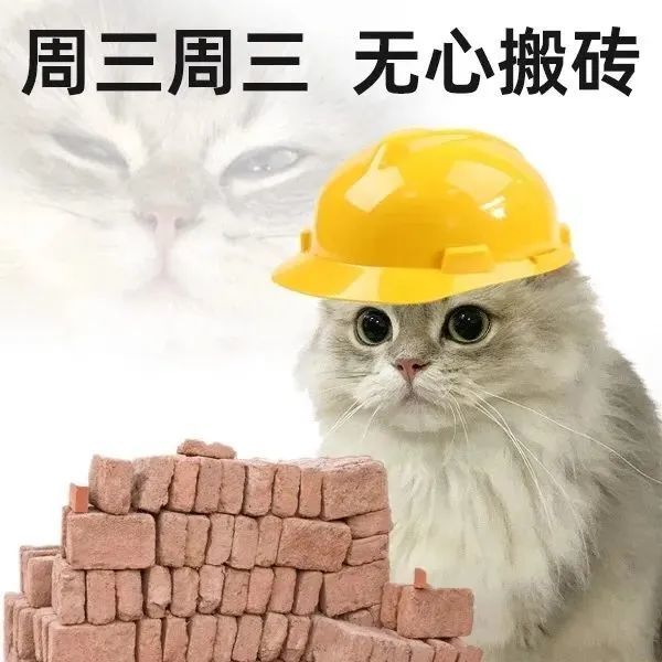 周一周二周三周四周五表情包