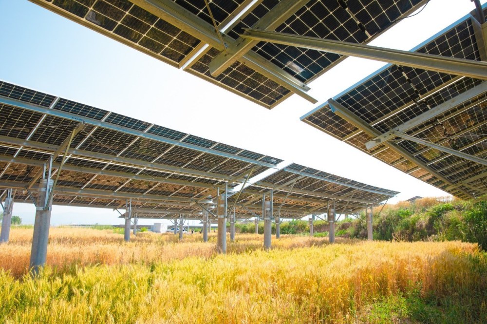 领跑光伏行业ESG建设隆基绿能设立能源行业首个“可持续发展周”