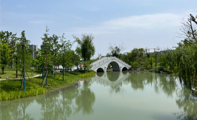 當然作為一個板塊的休閒公園,桃花湖公園也是合格的,只是沒有預想中的