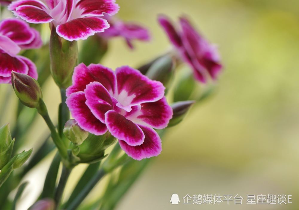 6月7日 13日星座运势 寄予厚望 称心如意的四大星座 腾讯新闻