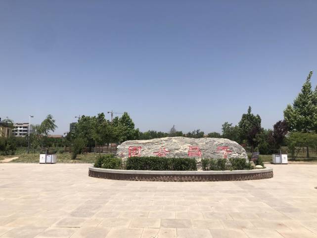 开业送花篮，增添节日气氛