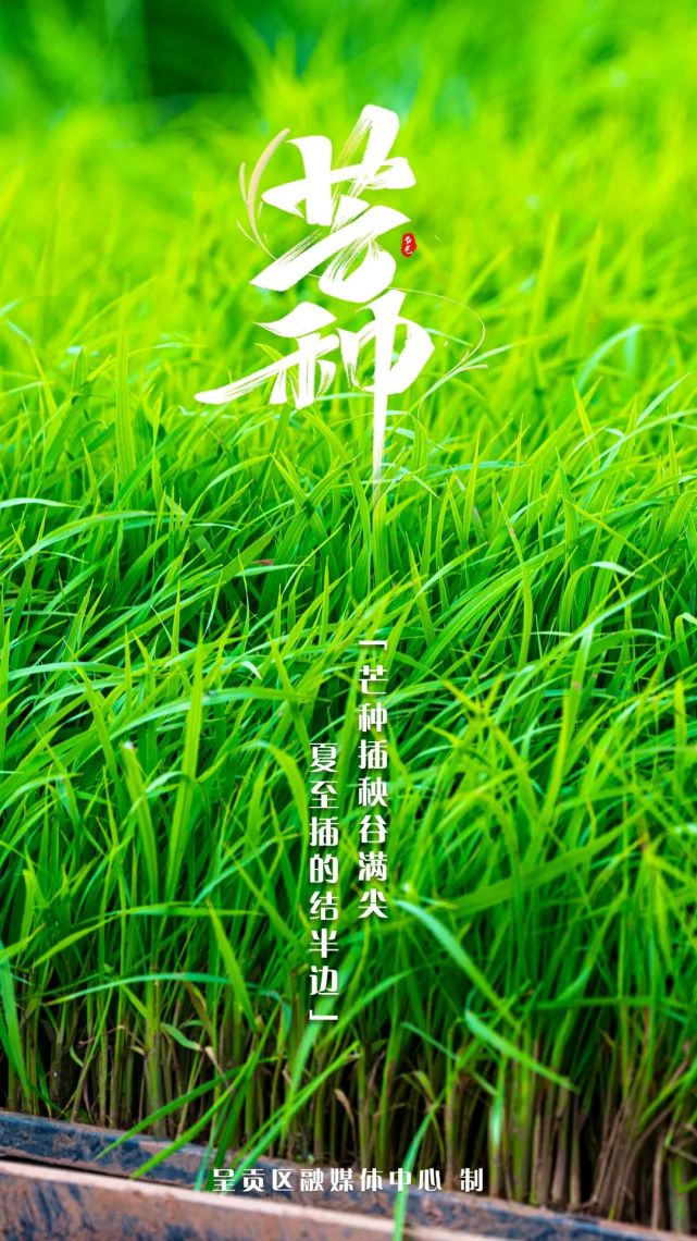 芒种时节迎高考,所种皆会有所得