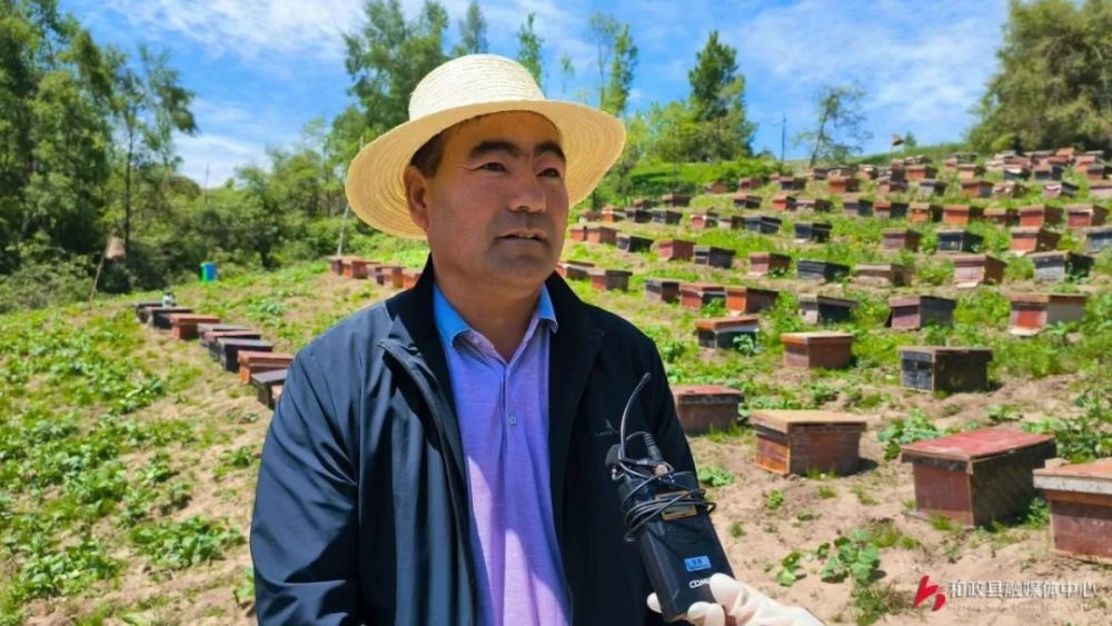 【喜迎二十大 我们的幸福生活】和政县新庄乡:蜜蜂养殖产业酿造乡村"