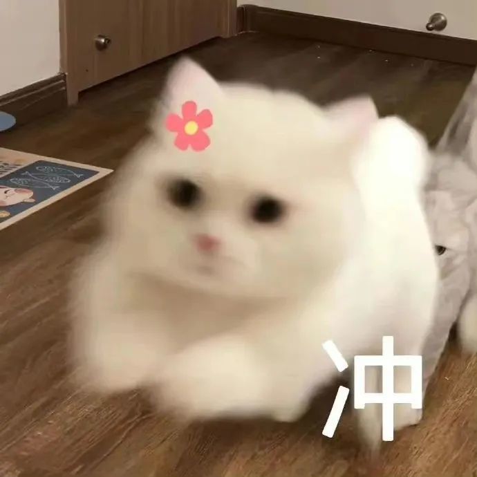 在雅萬高鐵感受濃濃年味（共建“一帶一路”·第一現場）ts是什么飯圈