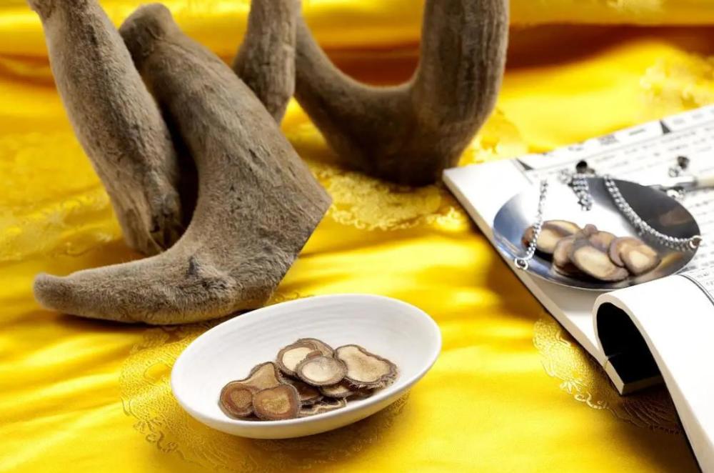 在东北,民间有句耳熟能详的俗语:"关东山,三件宝:人参,貂皮,鹿茸角".