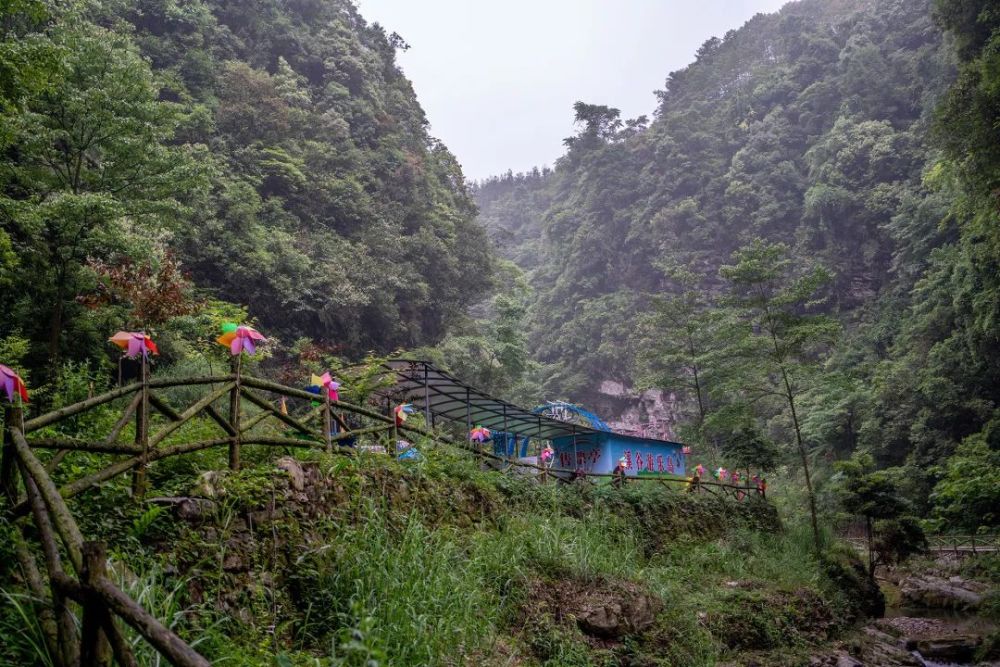 峨眉龙池四溪沟图片