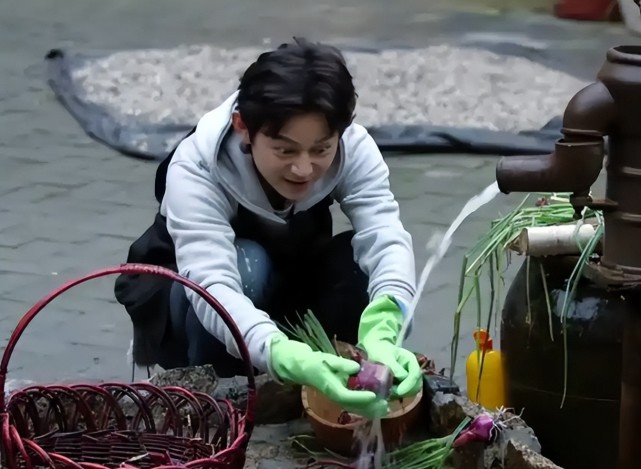 向往的生活聘请洗碗阿姨导演张航希发博回应网友太逗了