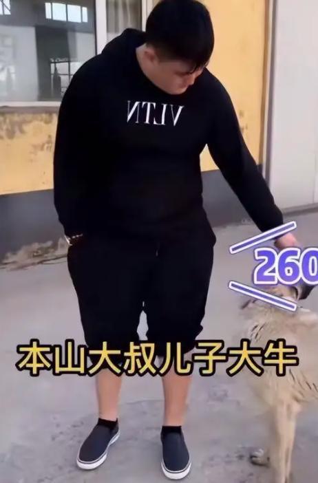 赵本山儿子买上百万宠物狗,运费高达60万,花钱大手大脚引争议