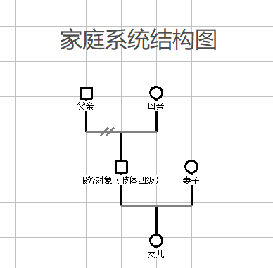 智画家庭系统图,明确对象帮扶计划社工前期走访入户,精准识别