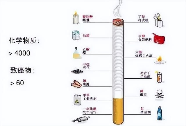 香烟的组成图片