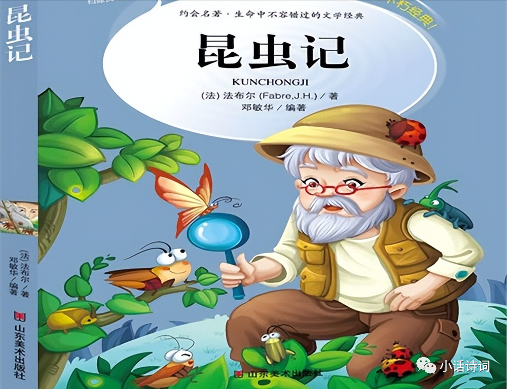 《昆虫记》:法布尔历时近20年的匠心巨著,严谨的科普,诗意的描写,多彩
