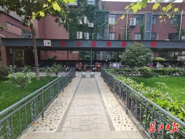   既要建充车棚还要保绿化带，他们牵头破解居民烦心事