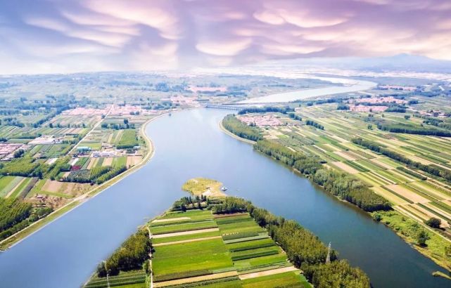 大场镇黄岛项目坟墓安置三期拟建442座坟