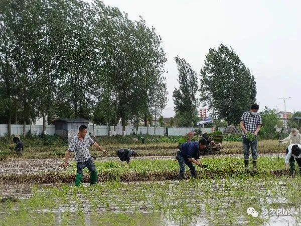 南鄭區漢山街道草堰村把主題黨日活動