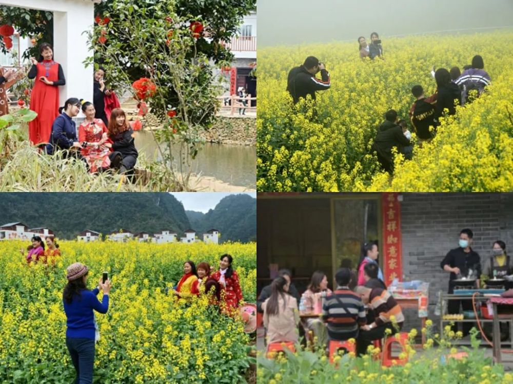 案例|发展特色产业 助力乡村振兴:广西五村镇巴某村华丽蝶变_腾讯新闻