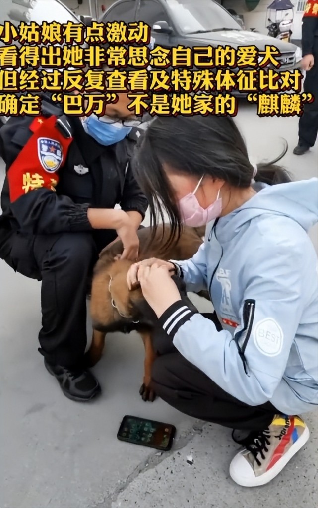 "全网最牛警犬"巴万:流浪狗逆袭公务员,网友:看它考上编制!