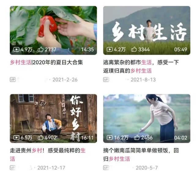 乡村自媒体短视频的乡村话语特色