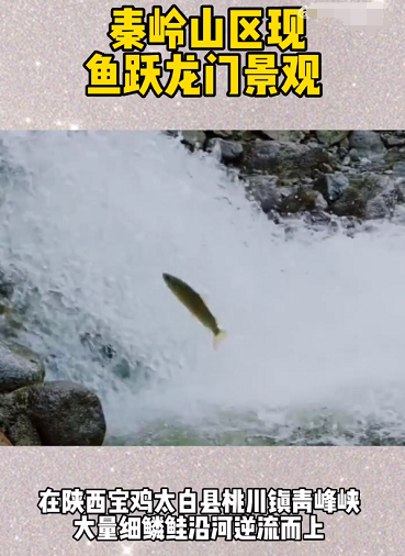 陕西鲤鱼跳龙门景观图片
