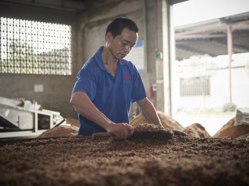 永樂古窖五糧濃香白酒品牌代理事業的關鍵支撐是文化實力