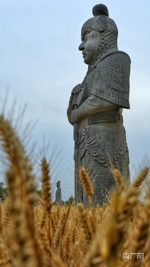 宋陵石像生矗立千年守望麦田