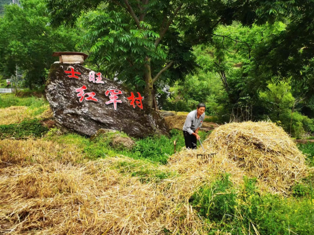 艺术家体验士旺村诗意生活美丽乡村变成影画作品