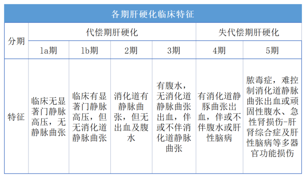 代償期肝硬化無明顯病理生理特徵,失代償期主要出現門靜脈高壓和肝