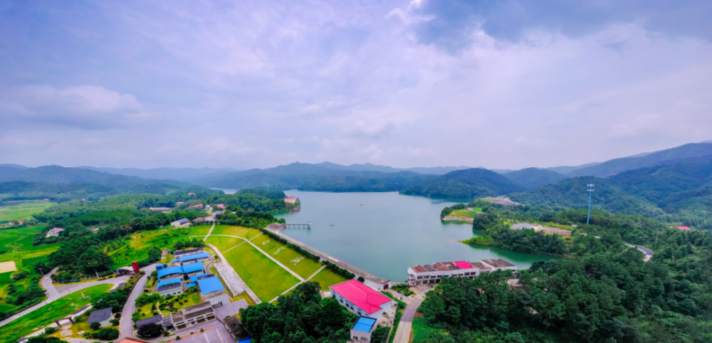 这里是高桥镇!_腾讯新闻