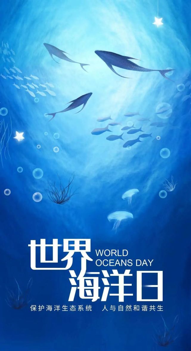 世界海洋日|保護海洋生態系統,人與自然和諧共生