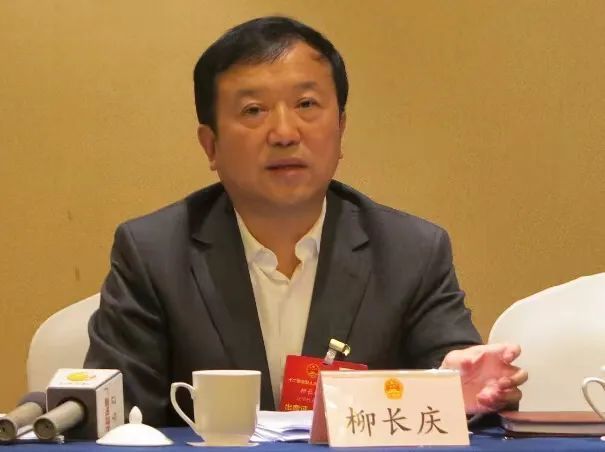 柳长庆出生于1952年,黑龙江省齐齐哈尔人,20岁时便担任辽阳县农具厂副