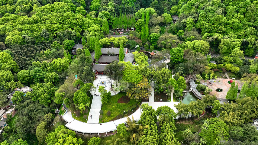 宜宾翠屏区:持续深入打造"一曼故里"文旅品牌_腾讯新闻