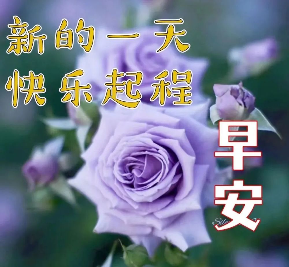 清晨暖心問候早安祝福語表情美圖超溫馨早安祝福語表情圖片