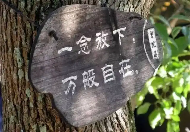 一念放下,万般自在 - 一念放下万念皆空 - 实验室设备网