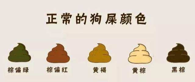 大便淡黄色正常吗 腾讯网