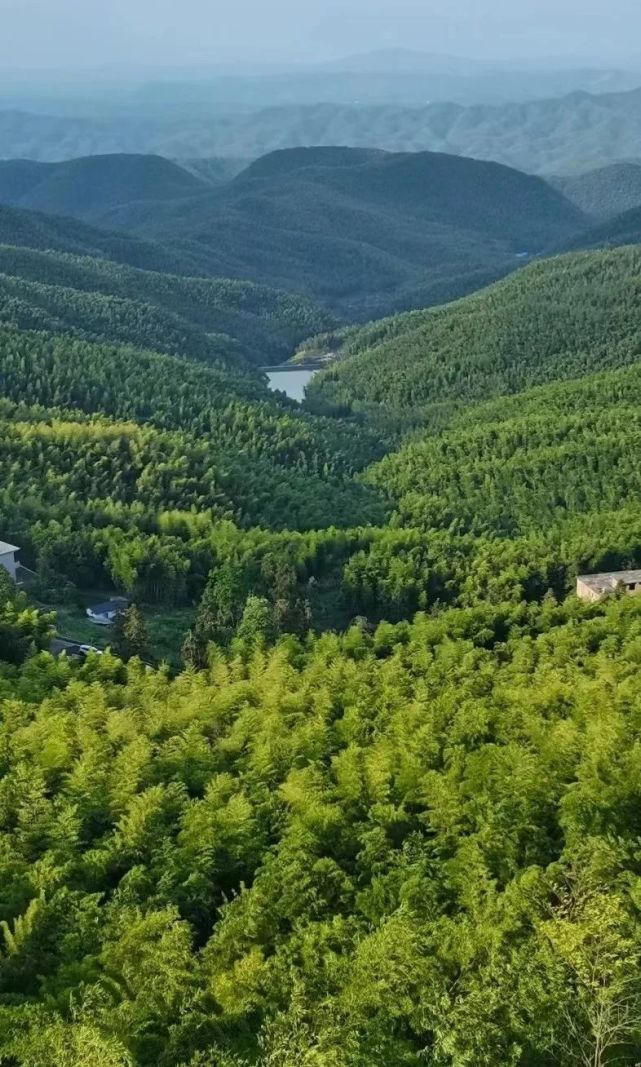 湖南旅遊推薦衡陽蔡倫竹海