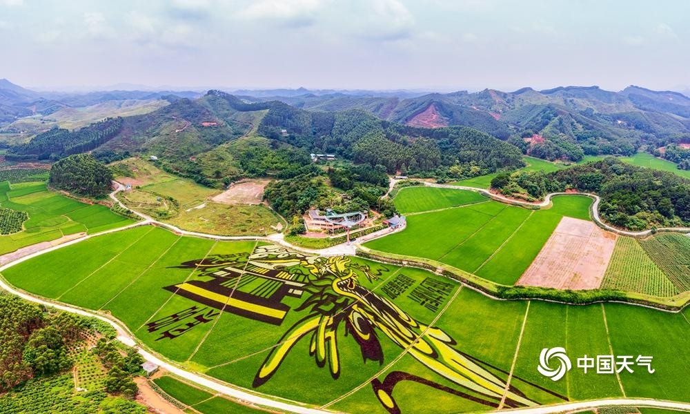 1/5中国天气网讯 南宁市宾阳县依托邻近大城市和铁路,公路交通便利的