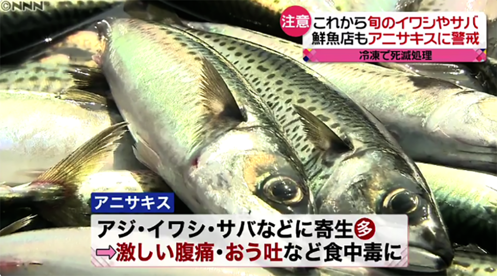 日本寄生虫病频发，仍狂热追求生食文化，只是为了追求“鲜”味？_腾讯新闻