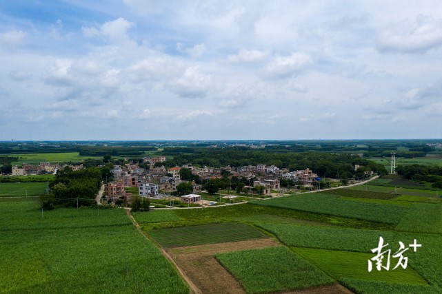 粤乡家风湛江农村夫妇培养四个大学生儿女事业有成后反哺乡村