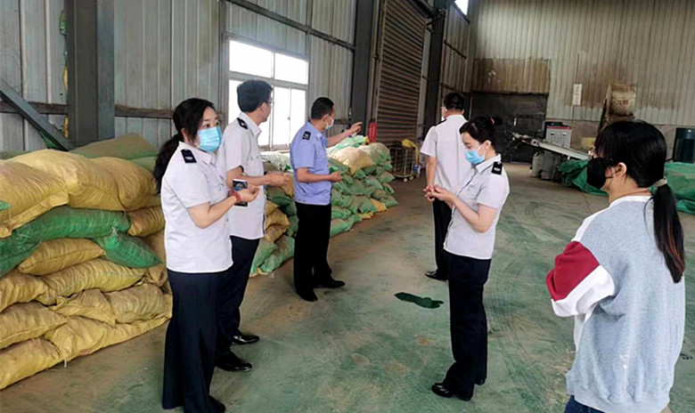 长武县开展林业植物检疫执法专项行动
