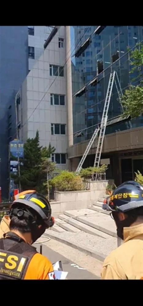 韩国一栋办公楼发生火灾，已致7死46伤恐龙霸主排行2023已更新(知乎/今日)