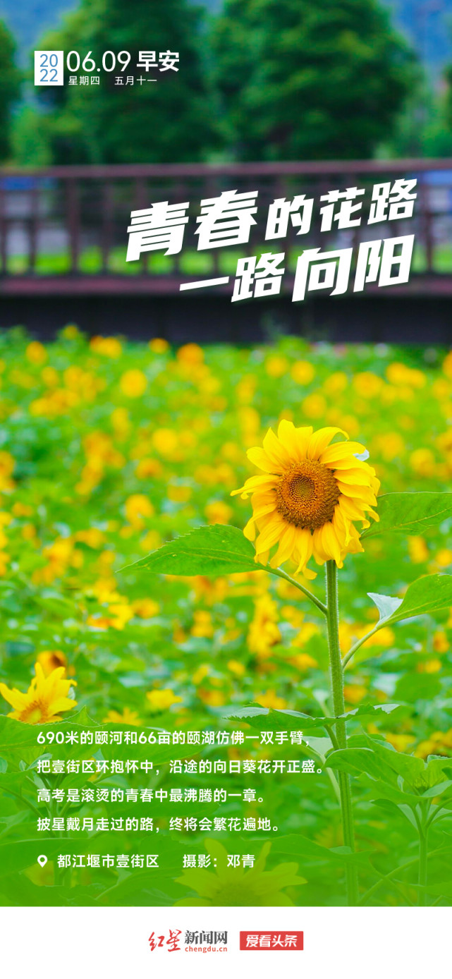 爱看头条|青春的花路 一路向阳(6月9日)