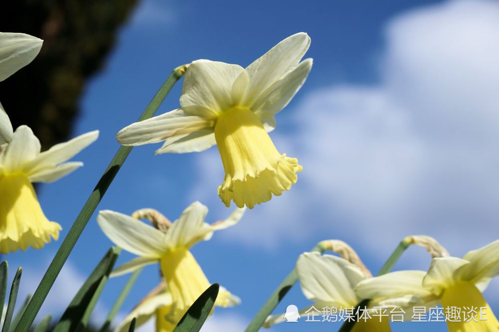 6月10日 日爱情运势 关怀备至 幸福倍增的四大星座 腾讯新闻