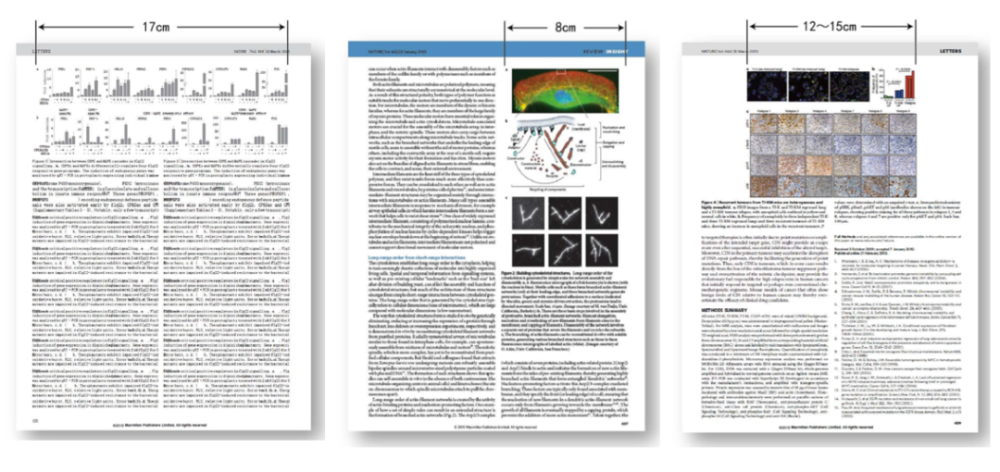 sci 图片制作排版全流程_腾讯新闻