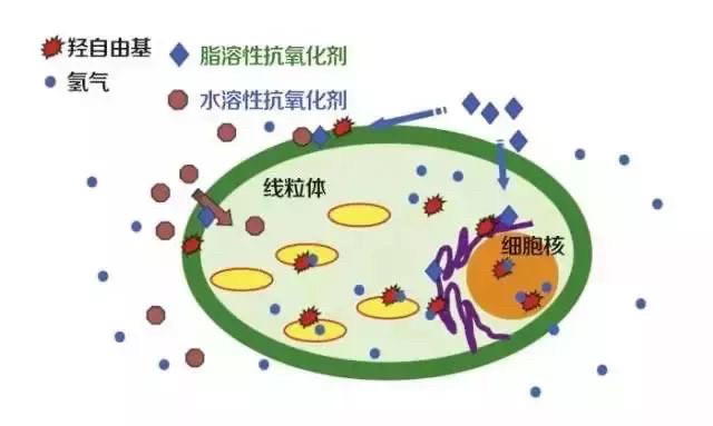 濡化功能 腾讯网